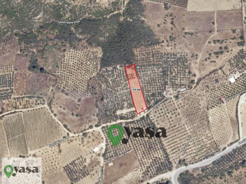 AKDENİZ CAMİLİ'DE 2080 M2 SATILIK TARLA